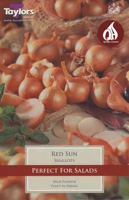 Loose Shallots Red Sun (Price Per Kg)