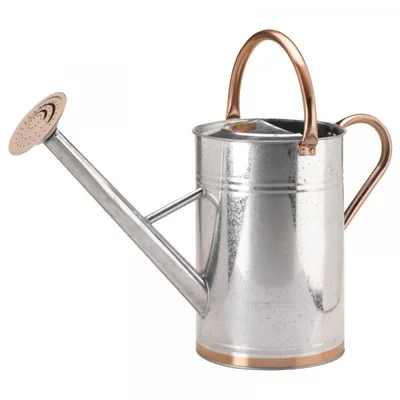 Smart Watering Can Galvanised Steel 9L - image 1