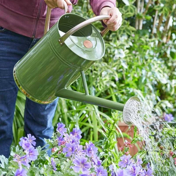 Smart Watering Can Sage 9L - image 2