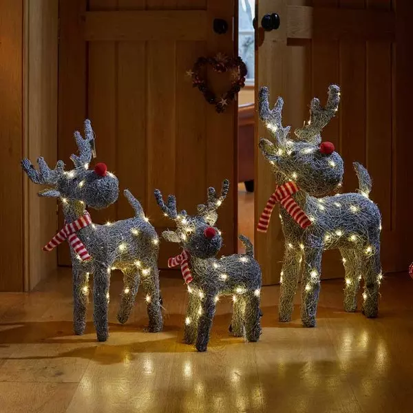 Smart Sparkly Rattan Blitzen - image 2