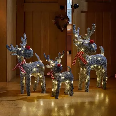 Smart Sparkly Rattan Blitzen - image 2