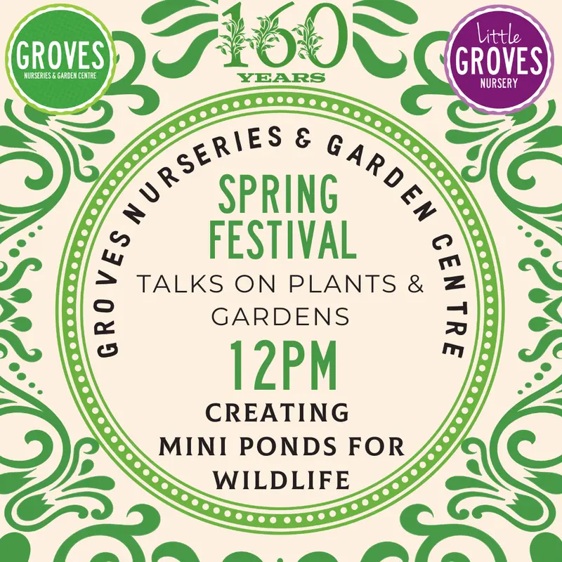 Spring Festival Talk - Creating Mini Ponds for Wildlife 21 March 12pm