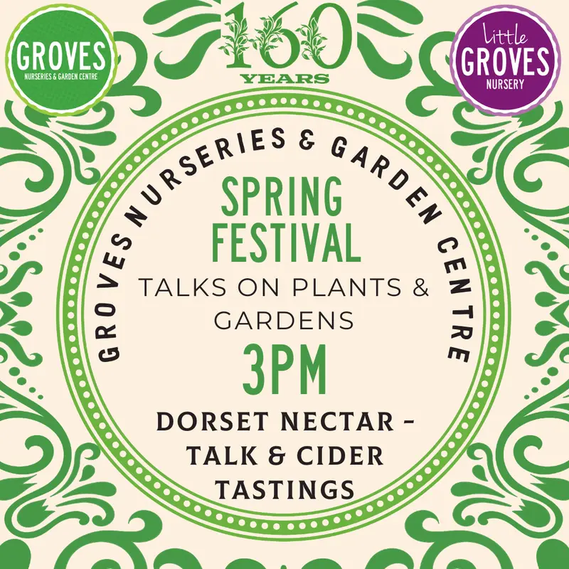 Spring Festival Talk - Dorset Nectar 21 March 3pm