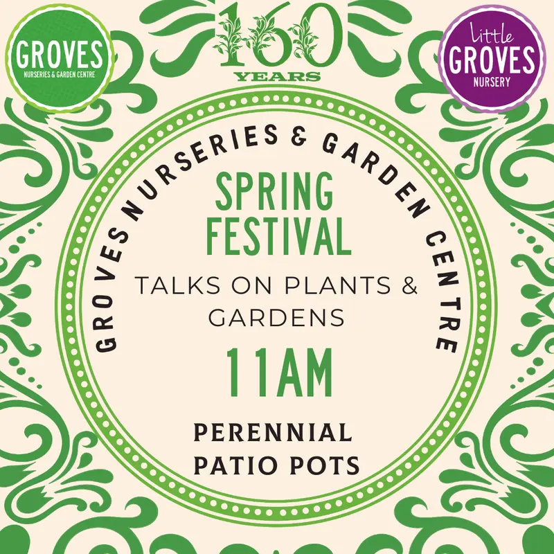 Spring Festival Talk - Perennial Patio Pots 21 March 11am