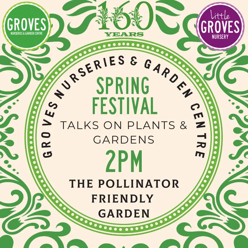 Spring Festival Talk - The Pollinator Friendly Garden 21 March 2pm