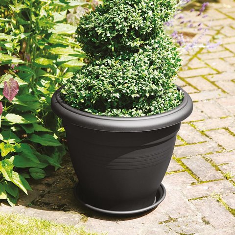 50cm Palladian Black