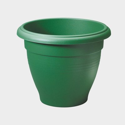 40cm Palladian  Green