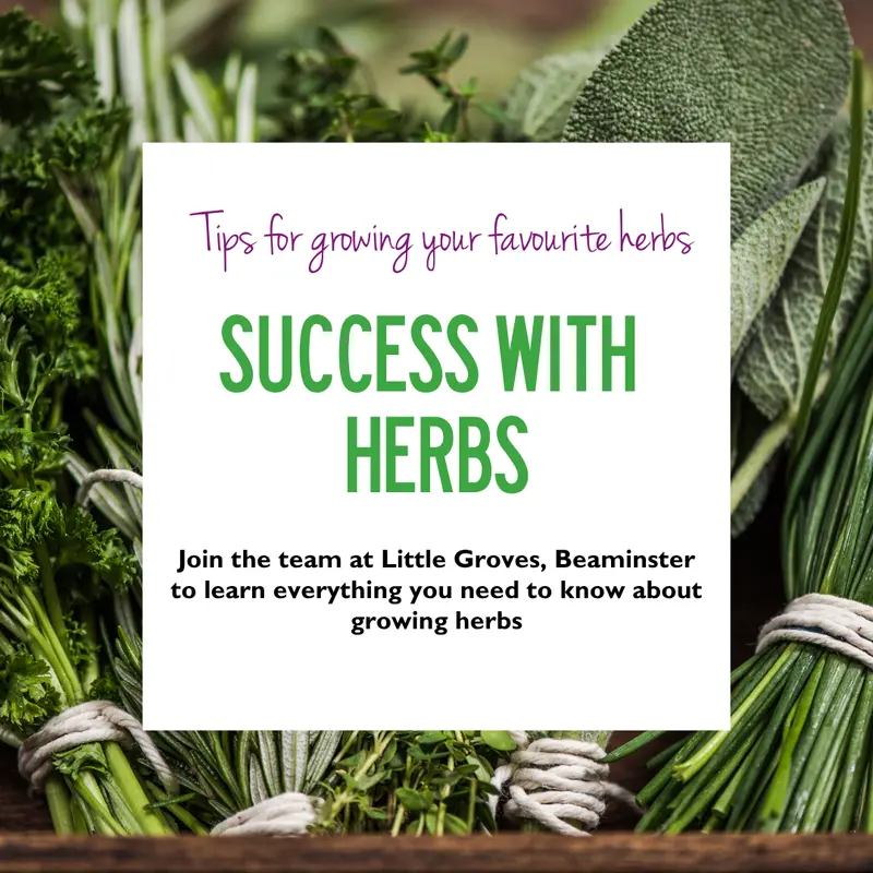 Success with Herbs Workshop at Little Groves - 24 Jul