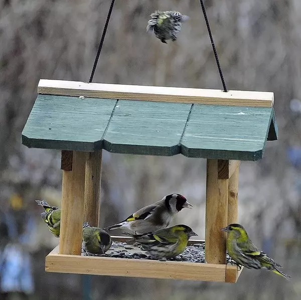 Tables & Feeders
