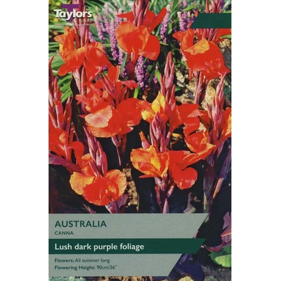 Canna Australia