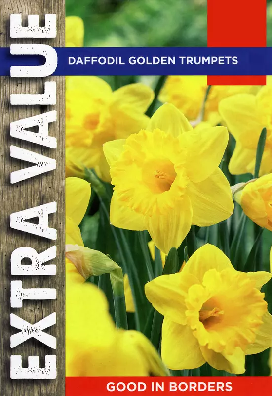 Taylors Extra Value Narcissus Golden Trumpets