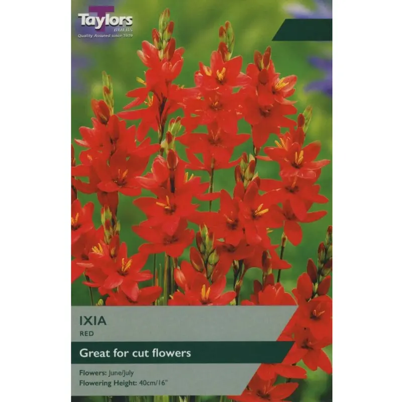 Taylors Ixia Red