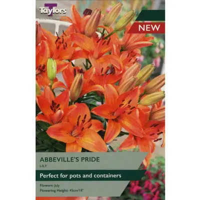 Taylors Lily Abbeville's Pride