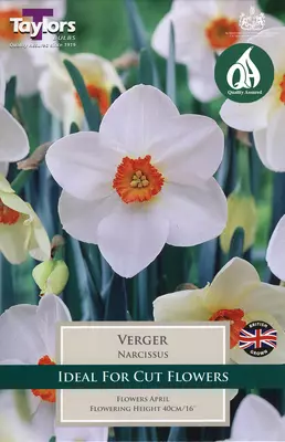 Taylors Narcissi Verger