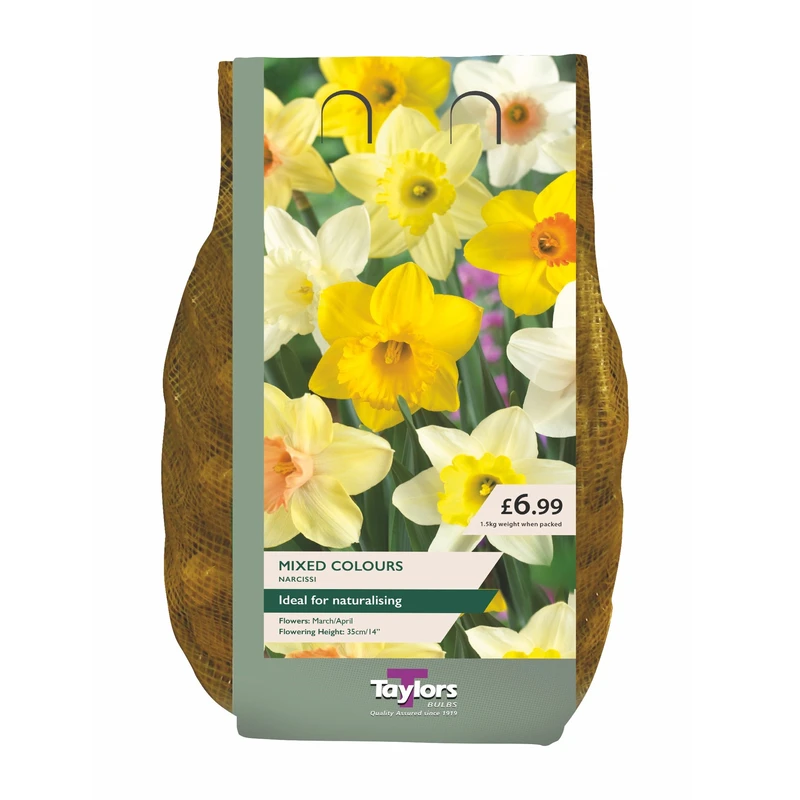 Taylors Narcissus Carri-Pack Mixed 1.5kg
