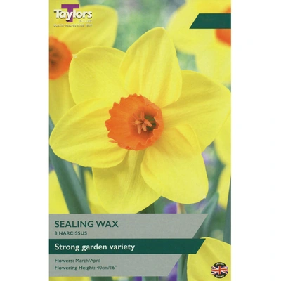 Taylors Narcissus Sealing Wax