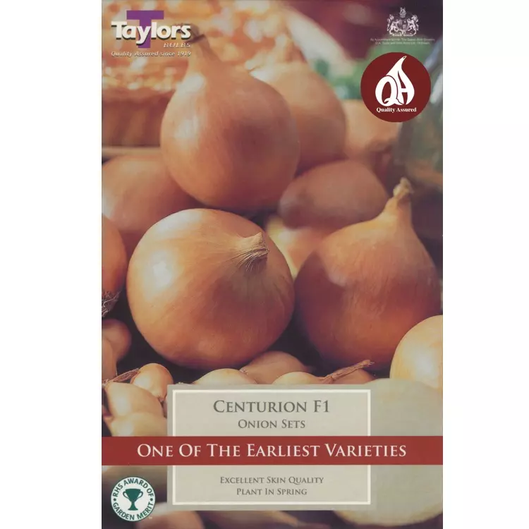 Taylors Onion Centurion F1 Pre-Packed
