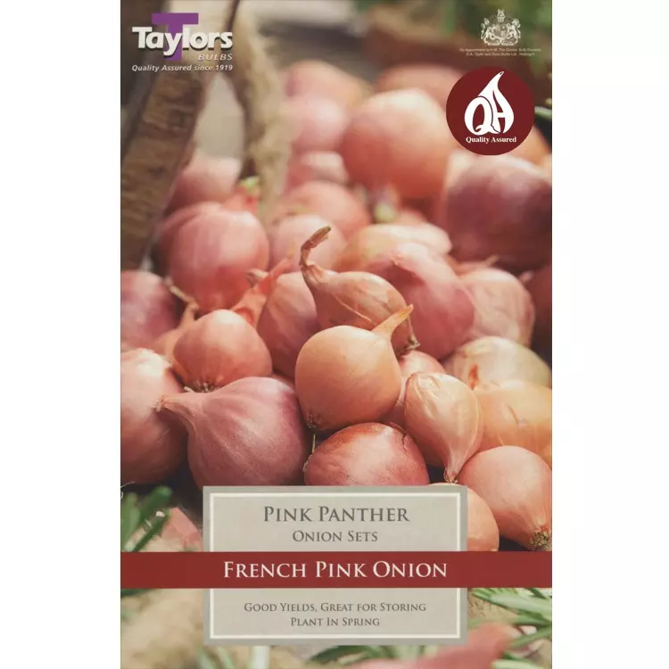 Taylors Onion Pink Panther Pre-Packed