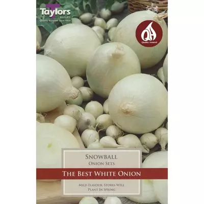 Taylors Onion Snowball Pre-Packed