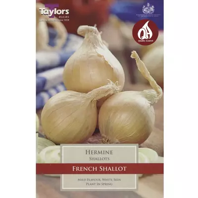 Taylors Shallot Hermine Pre-Packed