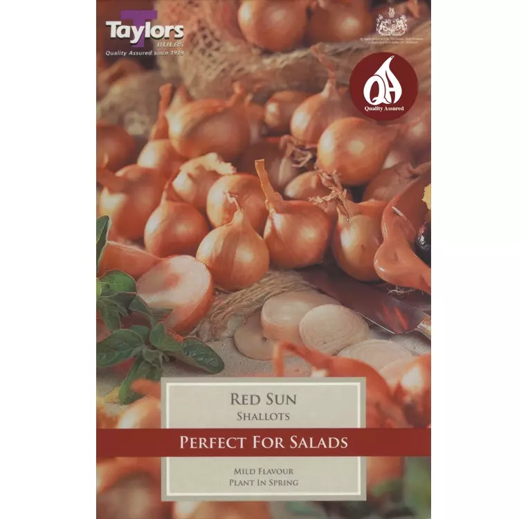 Taylors Shallot Red Sun Pre-Packed