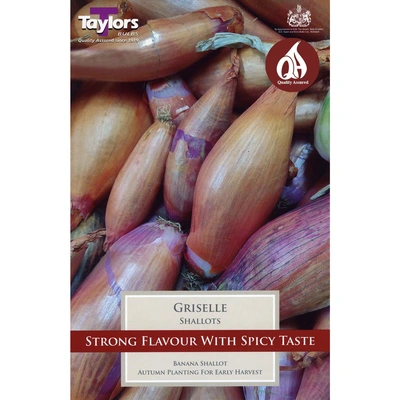 Taylors Shallot Griselle