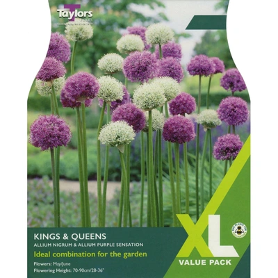 Taylors XL Allium Kings & Queens
