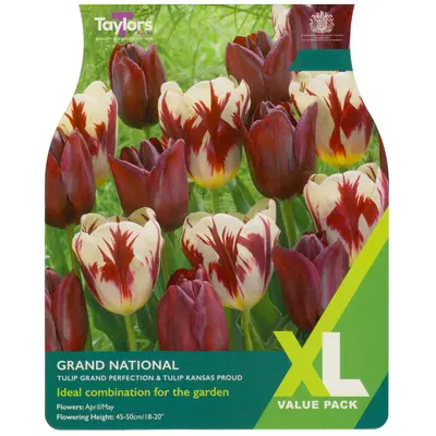 Taylors XL Grand National