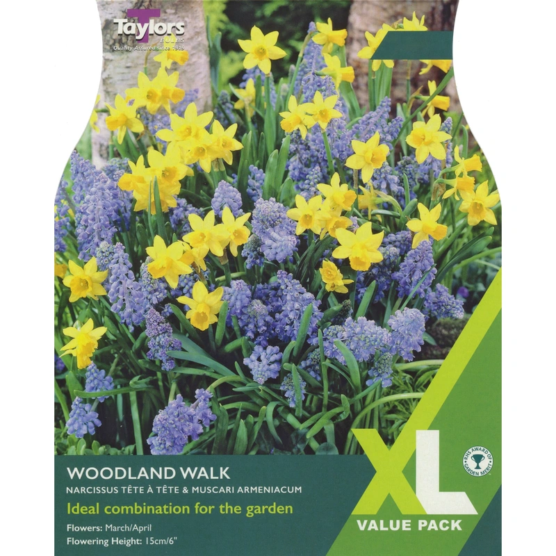 Taylors XL Woodland Walk Mix