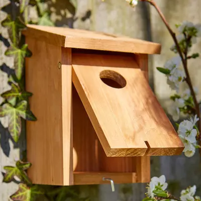 Tom Chambers Abbey Nest Box - image 2
