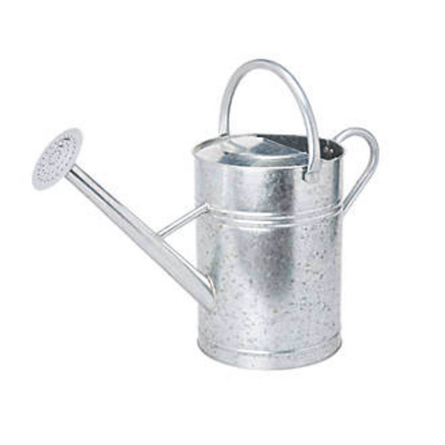 Traditional Galvanised Watering Can 10 Litre Groves Nurseries