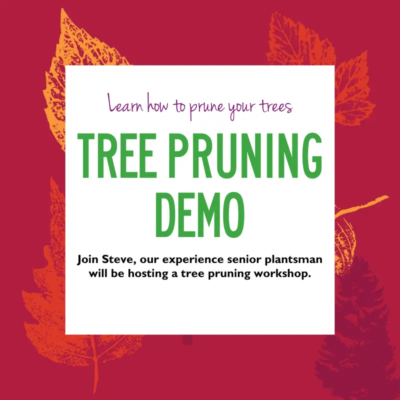 Tree Pruning Demo 23 Sep