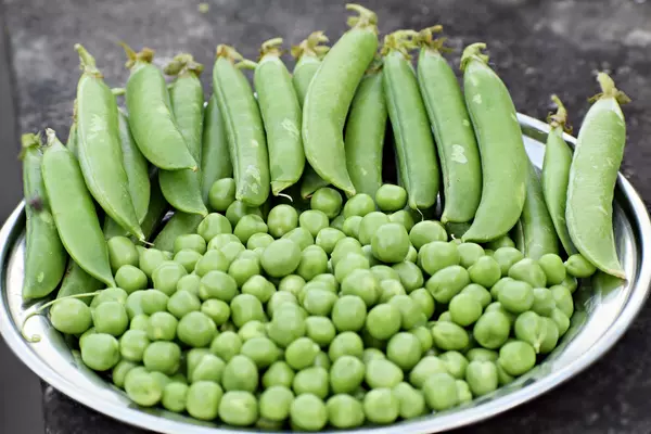 Vegetable & Fruit Seed