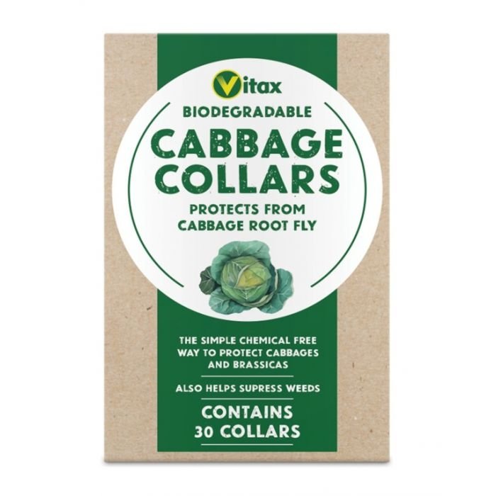 Vitax cabbage collars