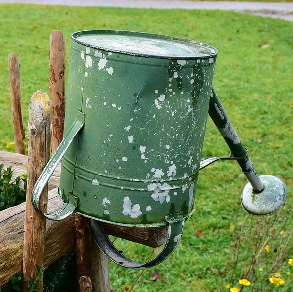 Watering Cans & Sprayers