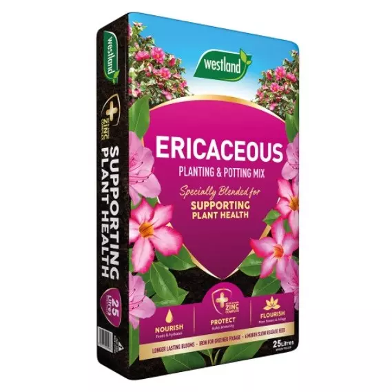 Westland Ericaceous planting & potting mix 25L