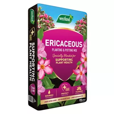 Westland Ericaceous planting & potting mix 25L