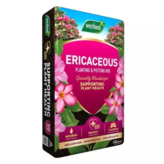 Westland Ericaceous planting & potting mix 50L