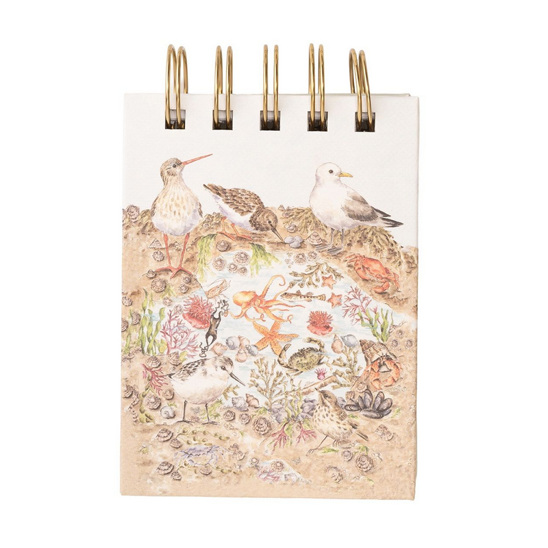 Wrendale Nature Field Notebook - Secrets of the Sea - image 2