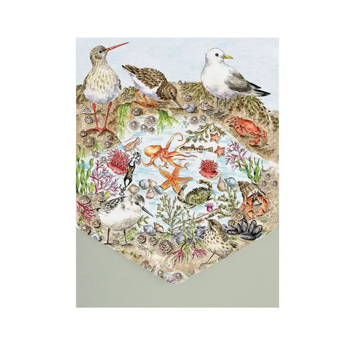 Wrendale Notecard Set Nature - Secrets of the Sea - image 1
