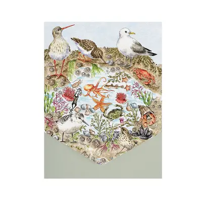 Wrendale Notecard Set Nature - Secrets of the Sea - image 1
