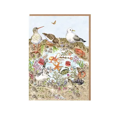 Wrendale Notecard Set Nature - Secrets of the Sea - image 2