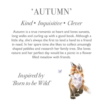 Wrendale Plush Autumn Fox Regular - image 3