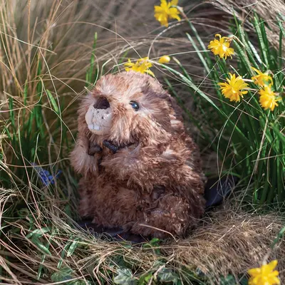 Wrendale Plush Chester Beaver Junior - image 2