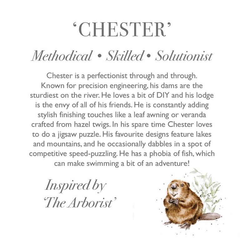 Wrendale Plush Chester Beaver Junior - image 3