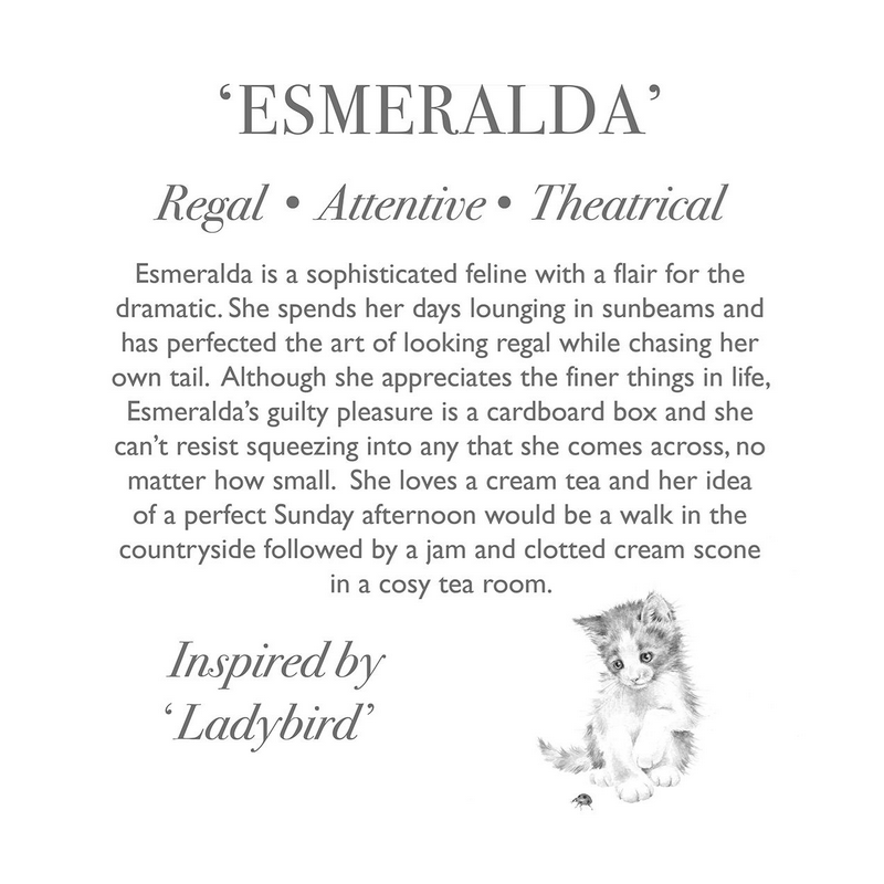 Wrendale Plush Esmerelda Cat Large - image 3