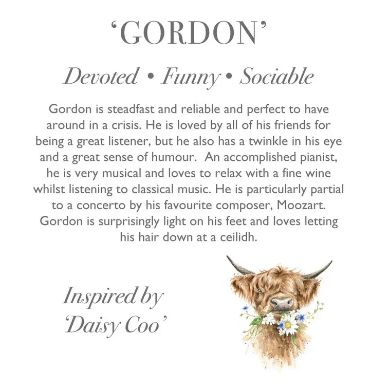 Wrendale Plush Gordon Highland Cow Junior - image 3