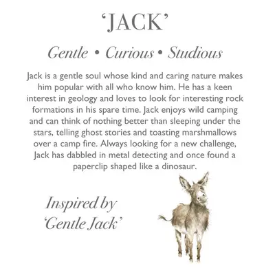 Wrendale Plush Jack Donkey Junior - image 3