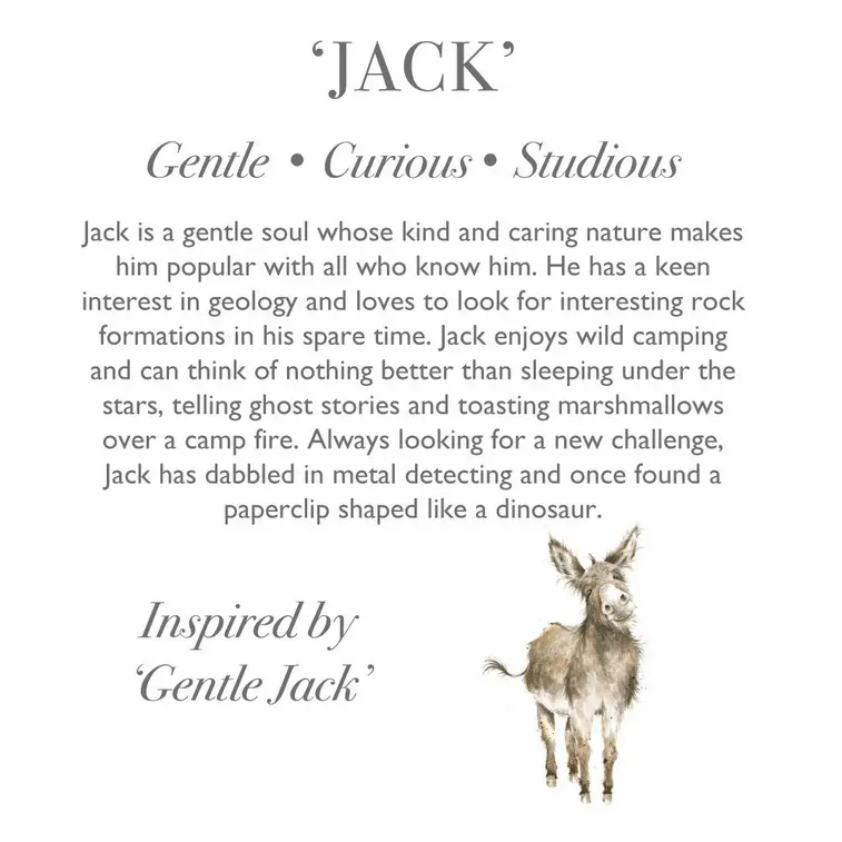 Wrendale Plush Jack Donkey Keyring - image 3