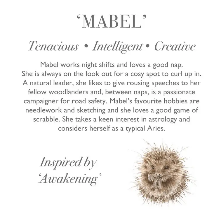 Wrendale Plush Mabel Hedgehog Regular - image 3